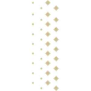 Unique All Over Jall Embroidery Design