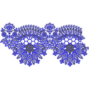 Lace Embroidery Design