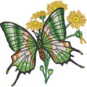 Unique Butterfly Embroidery Design