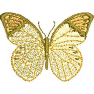 Unique Butterfly Embroidery Design
