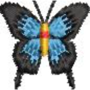 Beautiful Butterfly Embroidery Design