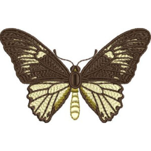 Unique Butterfly Embroidery Design