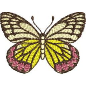 Best Butterfly Embroidery Design