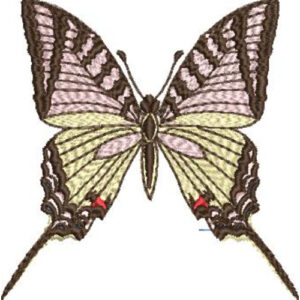 Unique Butterfly Embroidery Design