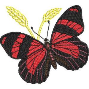 Unique Butterfly Embroidery Design