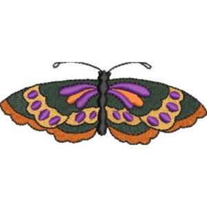 Unique Butterfly Embroidery Design