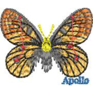 Unique Butterfly Embroidery Design