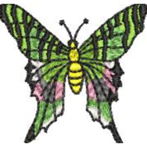 Unique Butterfly Embroidery Design