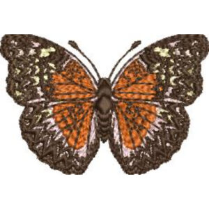 Butterfly Embroidery Design