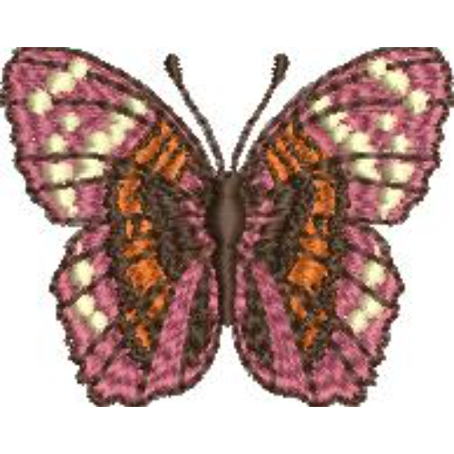 Butterfly Embroidery Design
