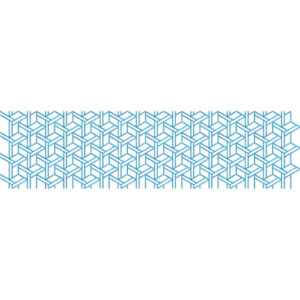 Lace Embroidery Design