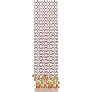 Border Daman Kurta Embroidery Design