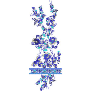 Neckline Embroidery Design