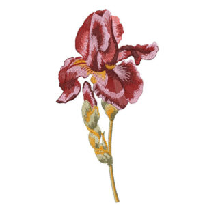 Elegant Burgundy Iris Floral Botanical Textile Print with Embroidery Detailing