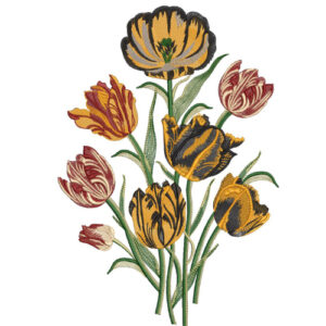 Elegant Golden Tulip Floral Botanical Textile Print with Rich Embroidery Detailing