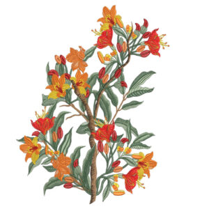 Warm Terracotta Floral Botanical Textile Print with Twin Decorative Motifs