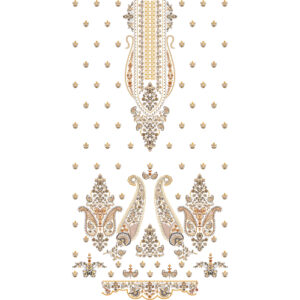 Royal Golden Paisley & Ornamental Panel Embroidery Design for Luxury Designer Dresses