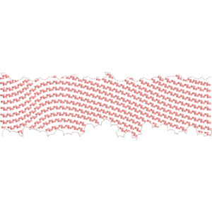 Geometric Lace Border Embroidery with Woven Brick Pattern and Irregular Scalloped Edge