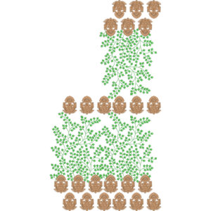 Floral Vine Saree Embroidery Design with Green Leaf Trails and Ornamental Paisley Borders